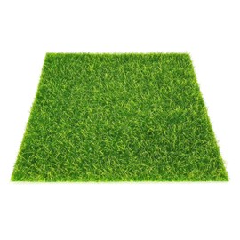 SecretRain Miniature Garden Fairy Ornament Green Lawn