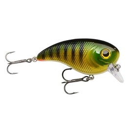 Berkley Pulse Biggie Crankbait Fishing Lure, Shallow Running Hard Bait for Pike and Predator Fishing, Long Casting Floating Lure with Fusion19 Hooks, High Water Displacement Freshwater, 6cm, Perch