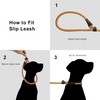 TwoEar Dog Leash Dog Slip Rope Leash 1/2" x 6FT