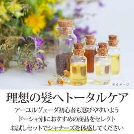 Ayurveda Hair Care Pitta Trial Set Shanners Indian Salon Trial Travel Shampoo Conditioner