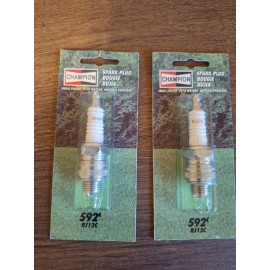Champion (2) New Genuine OEM CHAMPION  Spark Plugs. Part RJ12C