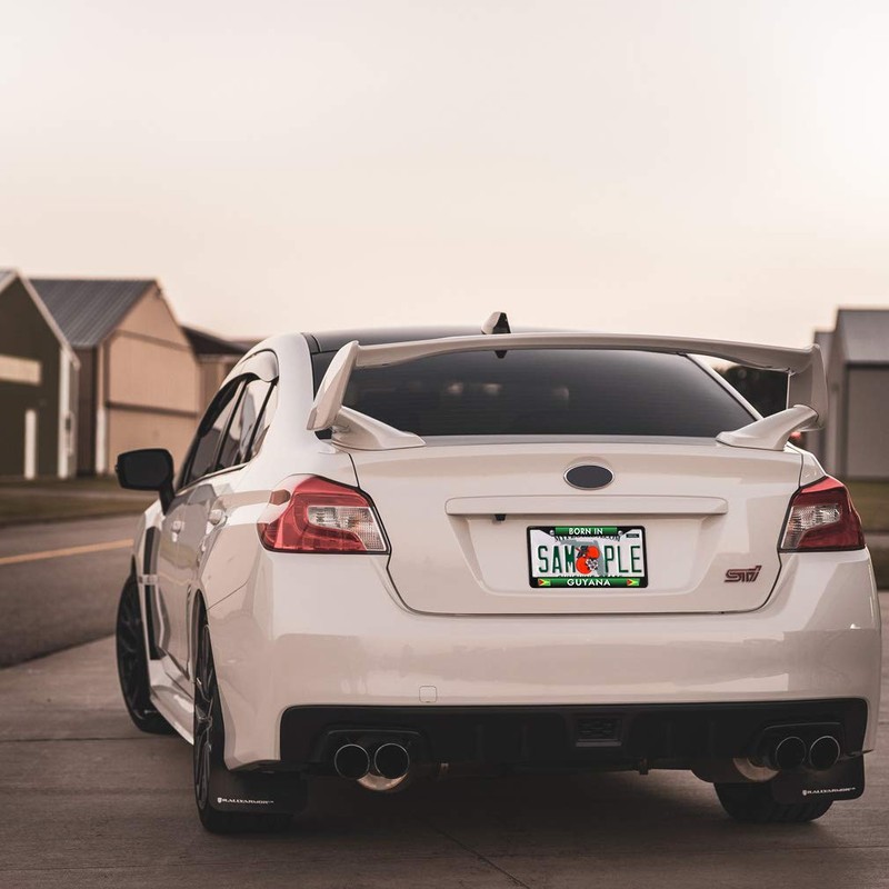 Metal Insert License Plate Frame Born in Guyana Weatherproof Car