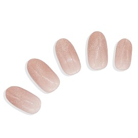 Ururila Gel Nail Seal, Nail Seal, Magnet, Hardening Type, Just Stick, Self Nail Ururila (093. Magnet, Peach Coral) (095. Magnet, Pink Beige)
