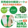 Tree Sap Sheets, Bottom Sheets, Pack of 36 (Yomogi)