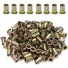 100pcs Carbon Steel Metric M5 Rivet Nuts Threaded Rivet Insert