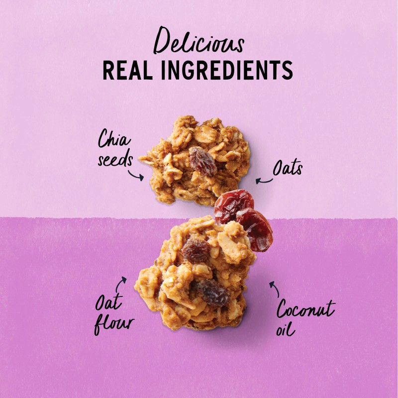 Purely Elizabeth Oatmeal Raisin Cookie Granola 11 Ounce Gluten Free