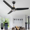 SARUDIIR Ceiling Fans with Lights,52 inch Black Ceiling fan with