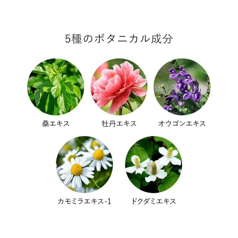 Shiono Chemical Hair Growth 3 Piece Set