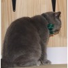 WDPAWS Cat Collar with Bell, Cat Collar, Cat Collar, Dog