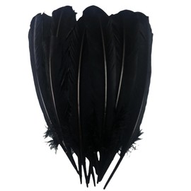 24Pcs Black Turkey Feathers 10~12in Long,Beautiful Feather for Crafts 26-31cm,Bulk Big Size Bilateral Natural Feather,for Wedding Dress and Party Decoration,DIY Fabricating Handicraft Article (Black)