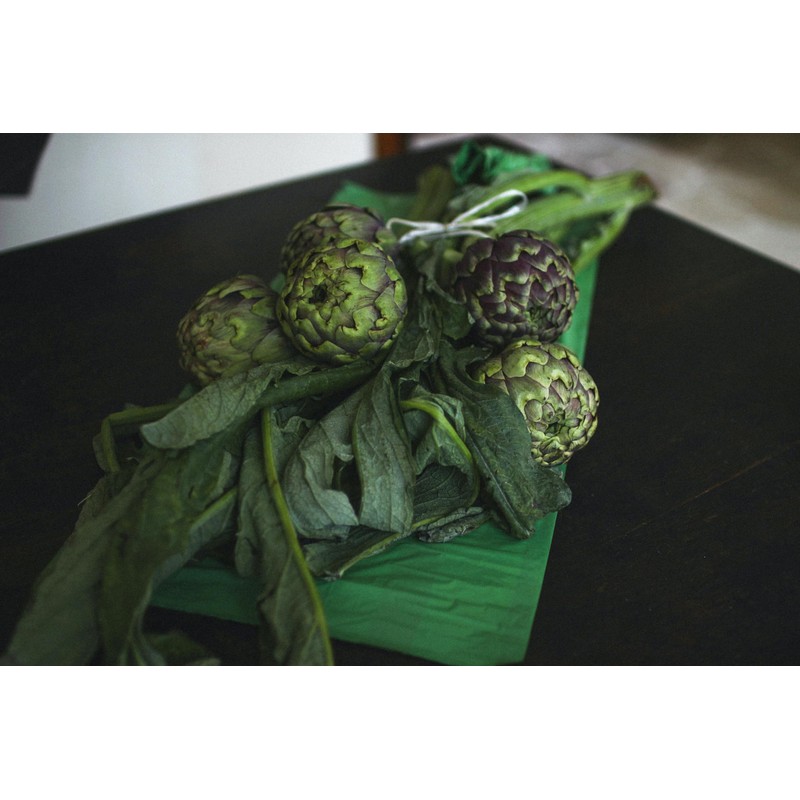 Artichoke Dried Cut Leaves from Italy - Cynara Cardunculus Loose