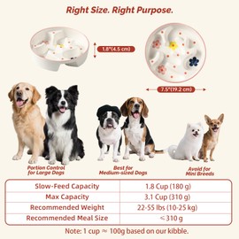 Ceramic Slow Feeder Dog Bowl - Portion Control Feeding Bowl for Medium Dogs – Cute Maze Food Dish for Fast Eaters - 3.1 Cups (310 g) - Doodle Series (Petal)