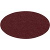 Festool 499089 P120 Grit Rubin 2 Abrasives for RAS 115