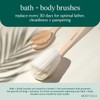 EcoTools Ecopouf Bath Brush, 2 Count (Colors May Vary)