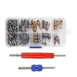 Diking R134 R12 A/C HVAC Air Conditioner Schrader Valve Stem Core Remover Tool (102Pcs)