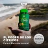 Vitamina C 5H8 NUTRITION