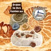 Science4you Fossil Dig Kit - Fossils and Paleontology with This
