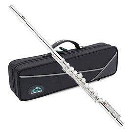 EastRock Closed Hole Flutes C 16 Key for Beginner, Kids, Student -Silver Flute with Case Stand and Cleaning kit