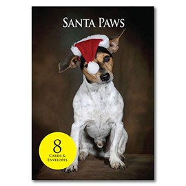 Jack Russell Christmas Cards. Bulk pack of 8 dog Xmas cards with envelopes by Charles Sainsbury-Plaice.