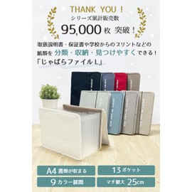 style plein de couleur Document Storage Case, Document Stand, A4, 13 Pockets, A4, Document Case, File Box, Storage Box, Document Files, Office, Organization, Document Storage (Black)