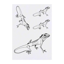 4 x 'Curious Lizard' Temporary Tattoos - Water Resistant, Skin-Safe, Non-Toxic Transfers, Mixed Sizes (TO00009656)