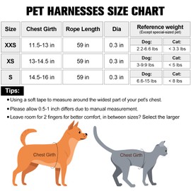 BEAUTYZOO Step in Dog Harness and Leash Set, Floral Pattern Reflective Dog Harness No Pull No Choke Puppy Harness for XXS XS S Dogs Cats, Soft Padded Mesh Vest Harnesses for Girl and Boy Pets