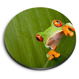 1 x Round MDF Magnet - Green Frog Nature Frogs 3682