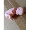 1 hard plastic model fetus, unusual medical fetal doll, abortion