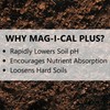 Jonathan Green (11357) Mag-I-Cal Plus Soil Food for Lawns in