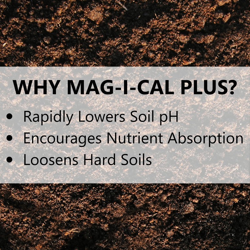 Jonathan Green (11357) Mag-I-Cal Plus Soil Food for Lawns in