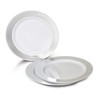 " OCCASIONS " 240 Plates Pack, Heavyweight Disposable Wedding Party