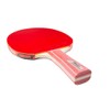 Tibhar Powerblade XT Table Tennis Bat with Concave Handle TT