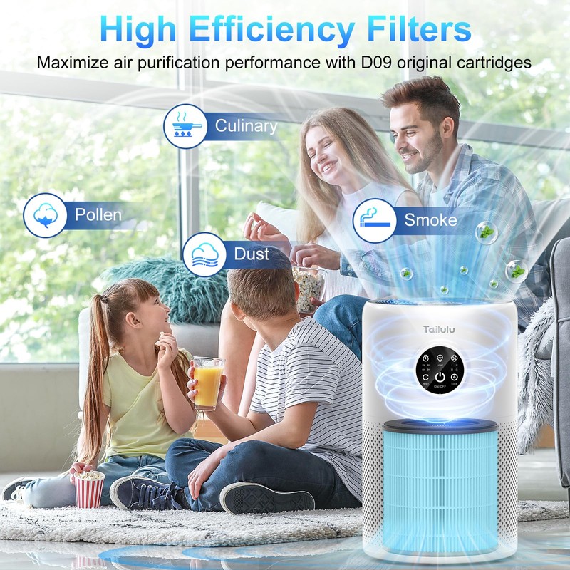 Tailulu D10 Replacement Filter,Air Purifier Filter for Tailulu D10 Air