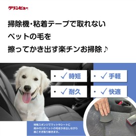 Ichinen Chemicals Car Sponge Clinview Pet Hair Removal Sponge 1 piece 29809