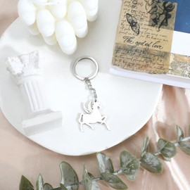 Keyring Lucky Charm Made of Silver Metal with Cute Unicorn Design, Gift for Women, Keyring for Birthday, Housewarming and Back to School, silver