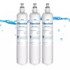 Maxblue Refrigerator Water Filter, Replacement for GE® RPWFE (With Chip)(3)