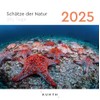Treasures of Nature - KUNTH 365 Day Tear-Off Calendar 2025:
