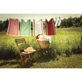 Flandria 20216 Set of 3 Clothesline 10 m Soul Steel, Multi-Colour