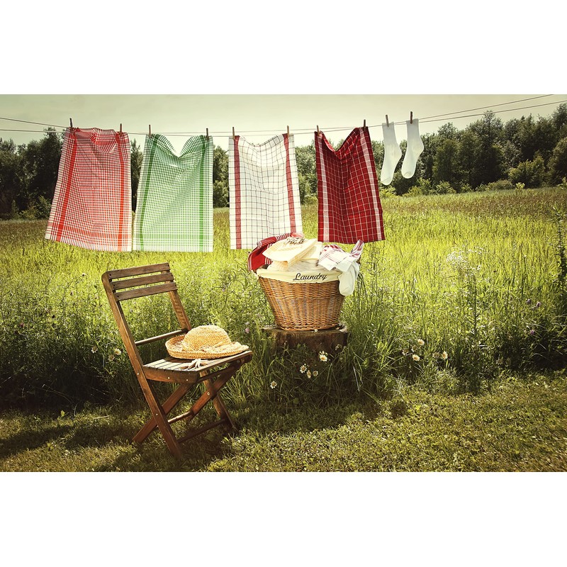 Flandria 20216 Set of 3 Clothesline 10 m Soul Steel,
