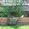 Bloem Promo Removable Nozzle Spout, Indoor/Outdoor Use Resin Watering Can,