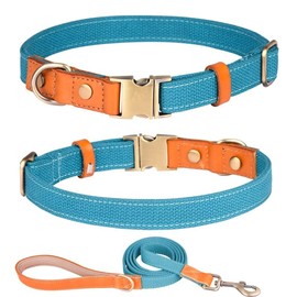 Haoyueer Nylon Dog Collar with Metal Safety Buckle, Adjustable Leather and Nylon for Pet Collars and Leash for Small Medium Large Dogs (M, Light Blue)