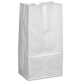 Paper Lunch Bags, Paper Grocery Bags, Durable Kraft Paper Bags, Perfect Durable Paper Lunch Bags Size Pack of 500 Bags (white, 2 LB)