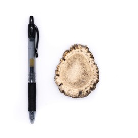 Perfect Pet Chews Elk Antler Burr Dog Chew - Grade A, All Natural, Organic, and Long Lasting Treats - Made from Naturally Shed Antlers in The USA (Medium Regular Treat)