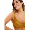 Sans Complexe Women's Suzie Full Coverage Bra, Bruyer Brown