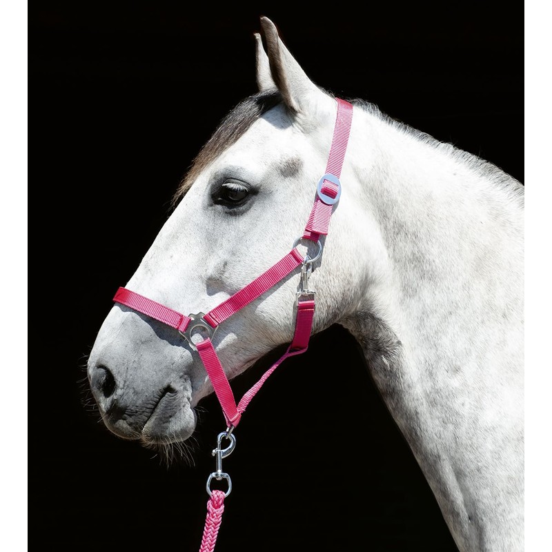 HKM Stars Economy Softice halter Orange Cold-blood