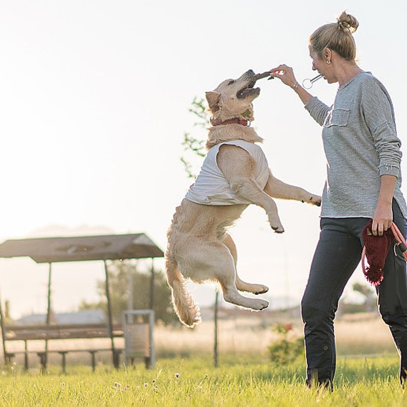 LIANRISES 6pcs Dog Training Whistles For Recall, Silent Dog Whistle