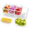 Lifewit Ice Chilled Condiment Caddy with 4 Containers(2.5 cup), Condiment