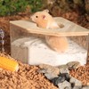 PLUSHCEWT Hamster Sand Bath, Hamster Sand Bath Container, Transparent Hamster