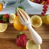 Hofmeistger Wood Products Juicer for Citrus Fruits Pointed Design Beech