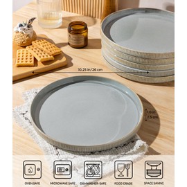 theterra Dinner Plates Set of 6, 10.25 Inch Ceramic Dinner Plates, Stoneware Dinnerware for Kitchen, Oven & Microwave & Dishwasher Safe, Desert Sage